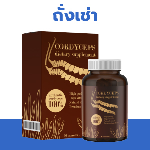 cordyceps-oem