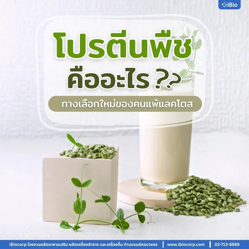 iBiocorp-what-is-plant-protein-lactose-free-alternative