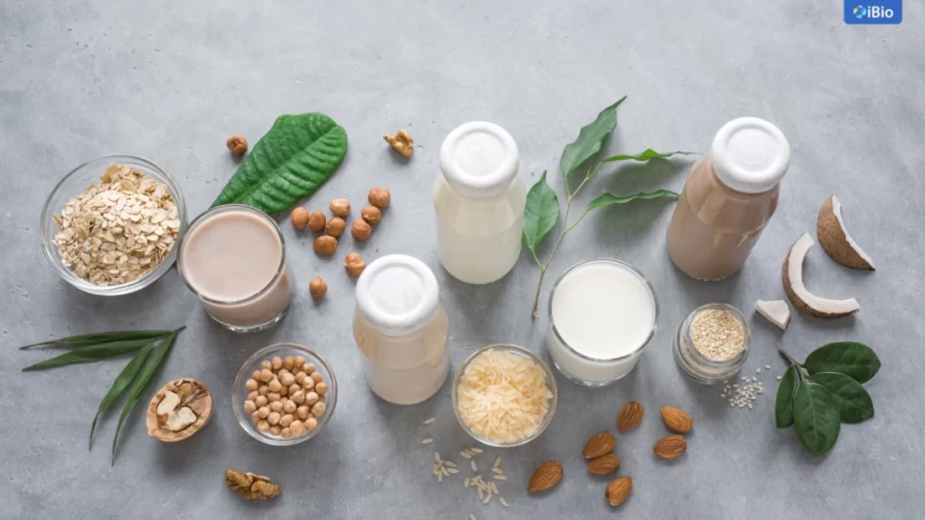 plant-based-protein-product