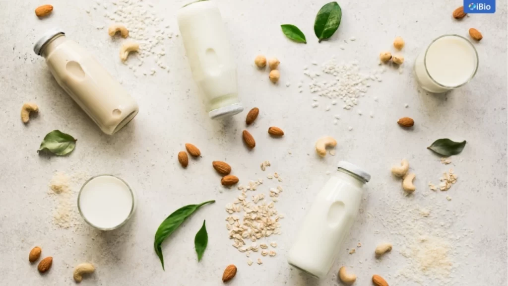 plant-protein