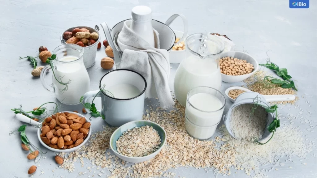 popular-plant-based-protein-sources