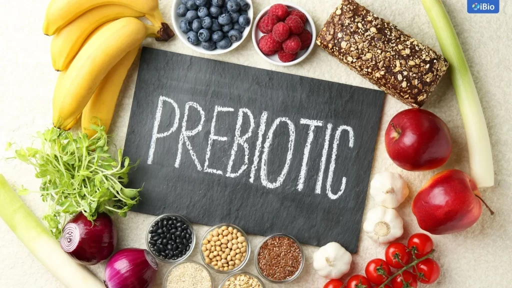 prebiotic-food