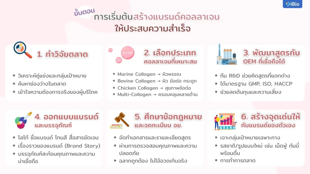 steps-to-start-building-a-successful-collagen-brand