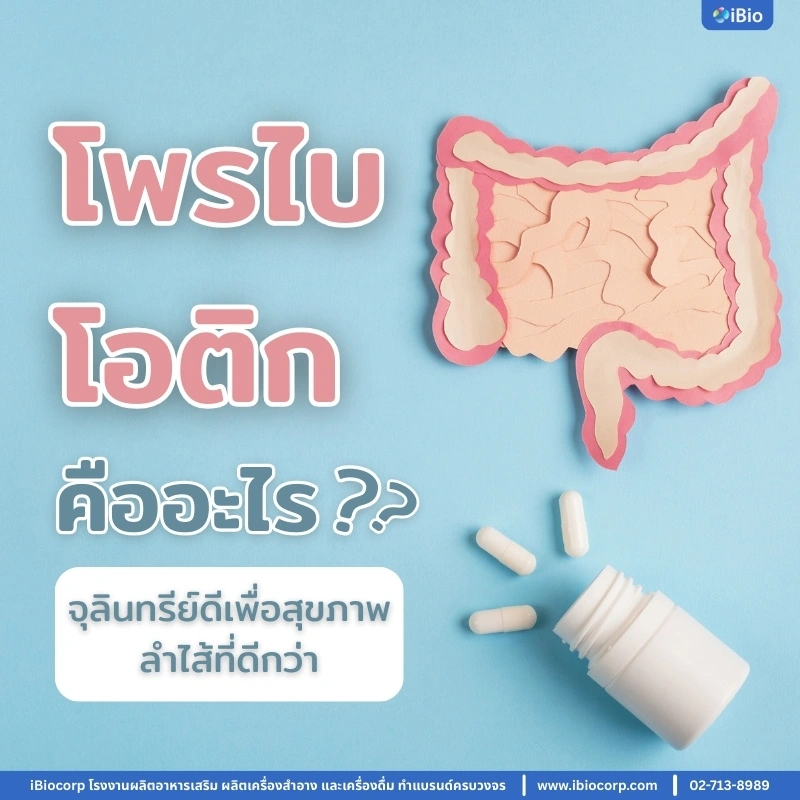 what-is-probiotic-good-bacteria-for-gut-health-iBiocorp