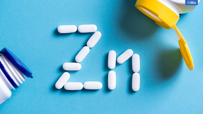 zinc
