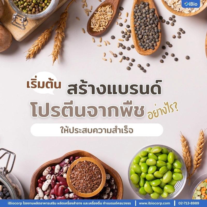start-plant-based-protein-business-iBiocorp