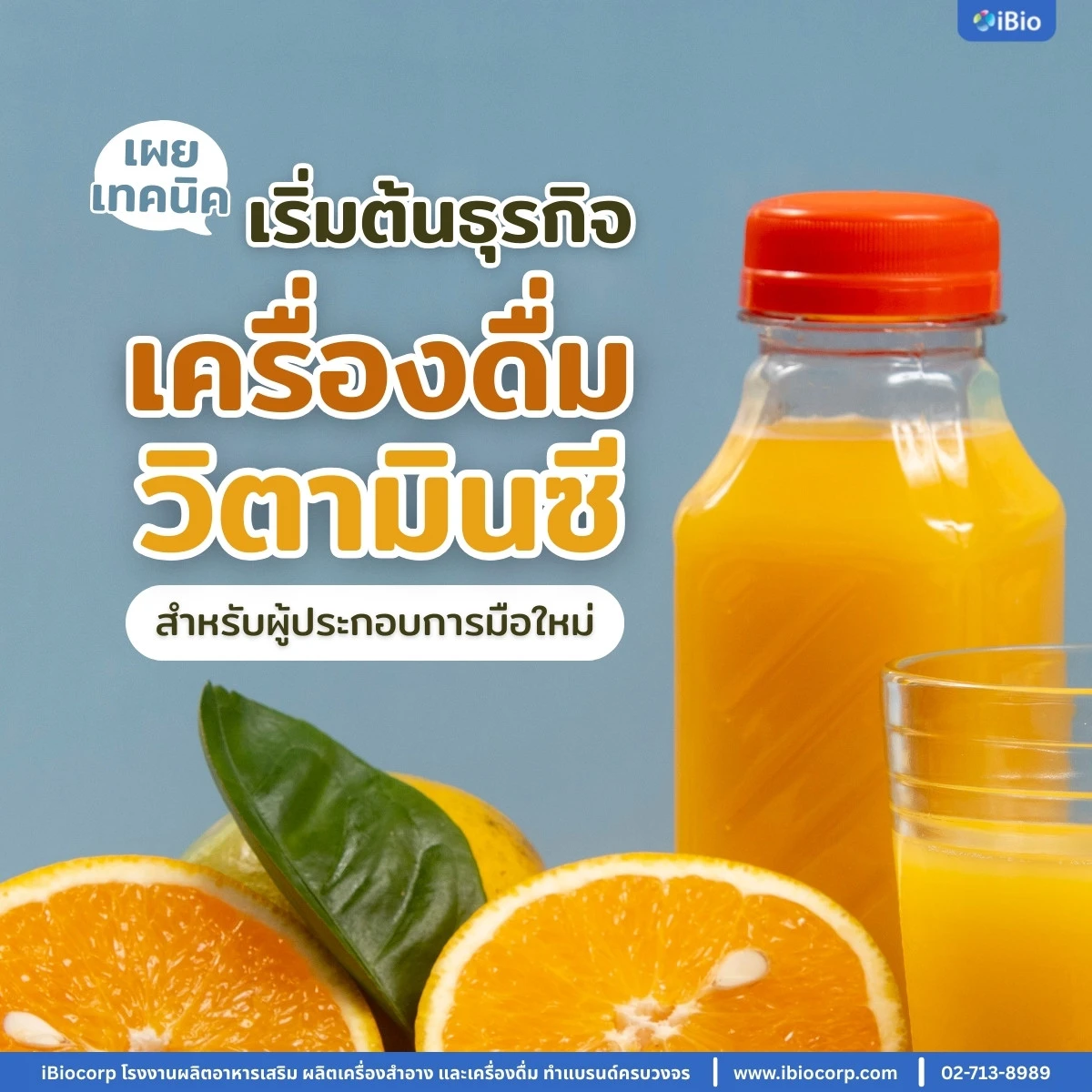 start-vitamin-c-drink-business-beginner-guide-iBiocorp