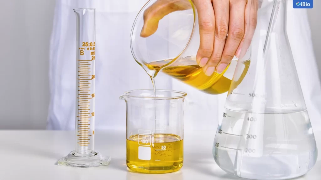 เจาะลึก 10 สารสกัดยอดนิยมที่กำลังมาแรงในปี 2026