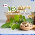 อัปเดต! 10 สารสกัดยอดนิยมที่น่าจับตามอง ในตลาดอาหารเสริมในปี 2026